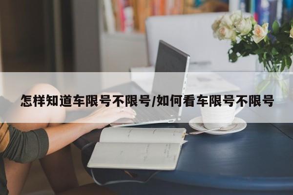 怎样知道车限号不限号/如何看车限号不限号