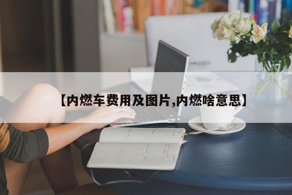 【内燃车费用及图片,内燃啥意思】