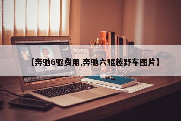【奔驰6驱费用,奔驰六驱越野车图片】
