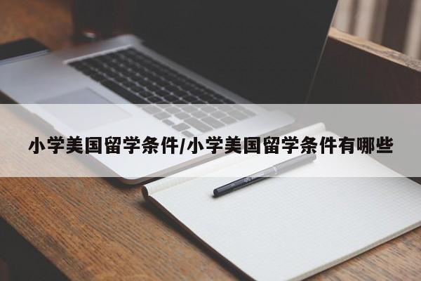 小学美国留学条件/小学美国留学条件有哪些