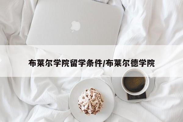 布莱尔学院留学条件/布莱尔德学院