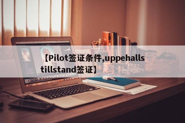 【Pilot签证条件,uppehallstillstand签证】