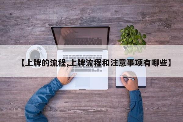 【上牌的流程,上牌流程和注意事项有哪些】