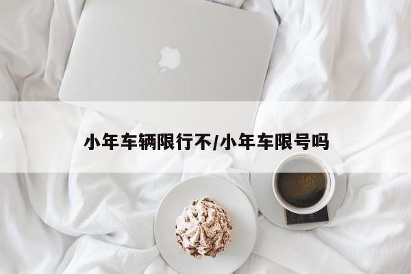 小年车辆限行不/小年车限号吗