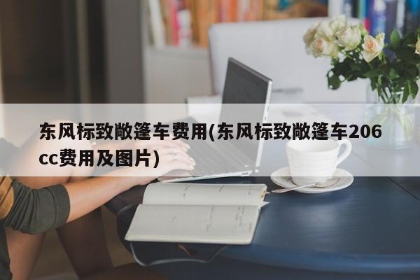 东风标致敞篷车费用(东风标致敞篷车206cc费用及图片)