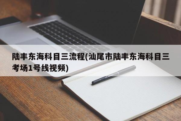 陆丰东海科目三流程(汕尾市陆丰东海科目三考场1号线视频)