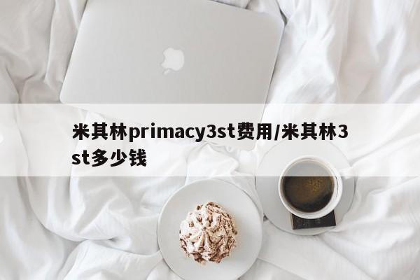 米其林primacy3st费用/米其林3st多少钱