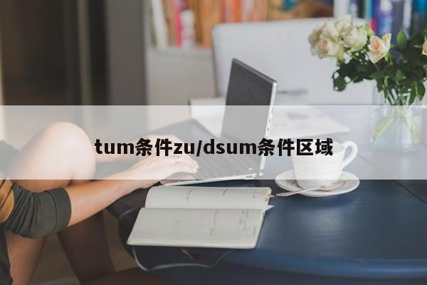 tum条件zu/dsum条件区域