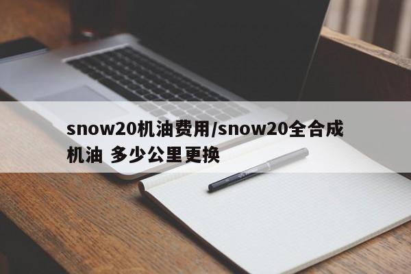 snow20机油费用/snow20全合成机油 多少公里更换